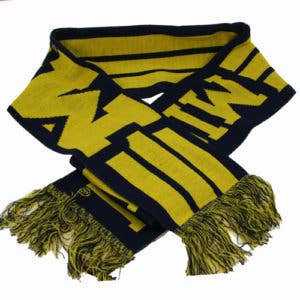 Michigan Wolverines Scarf- Acrylic Striped